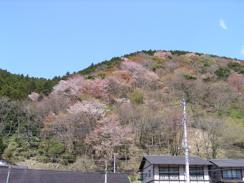 Hotel Irorino Yado Sankichi Izu  Exterior foto